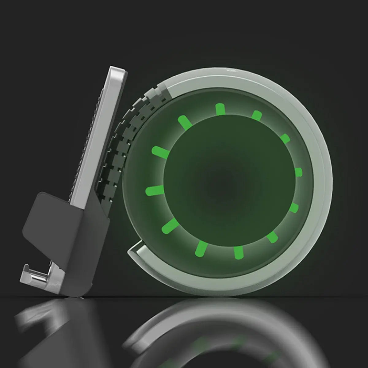 Wheel of Power Wireless Charger Salmon Lucky