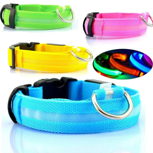 Light-Up Rechargeable Dog Collar Teal Zeus